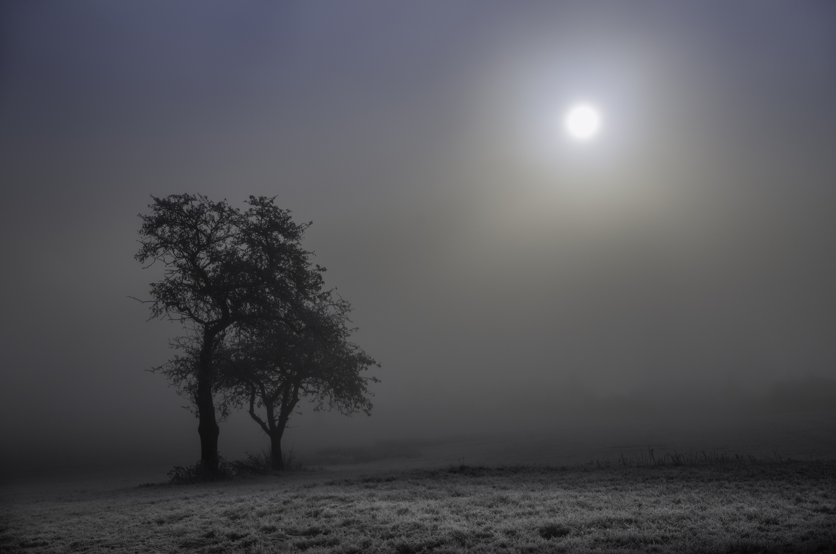 frostiger Novembermorgen 