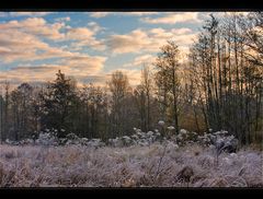 Frostiger Novembermorgen.