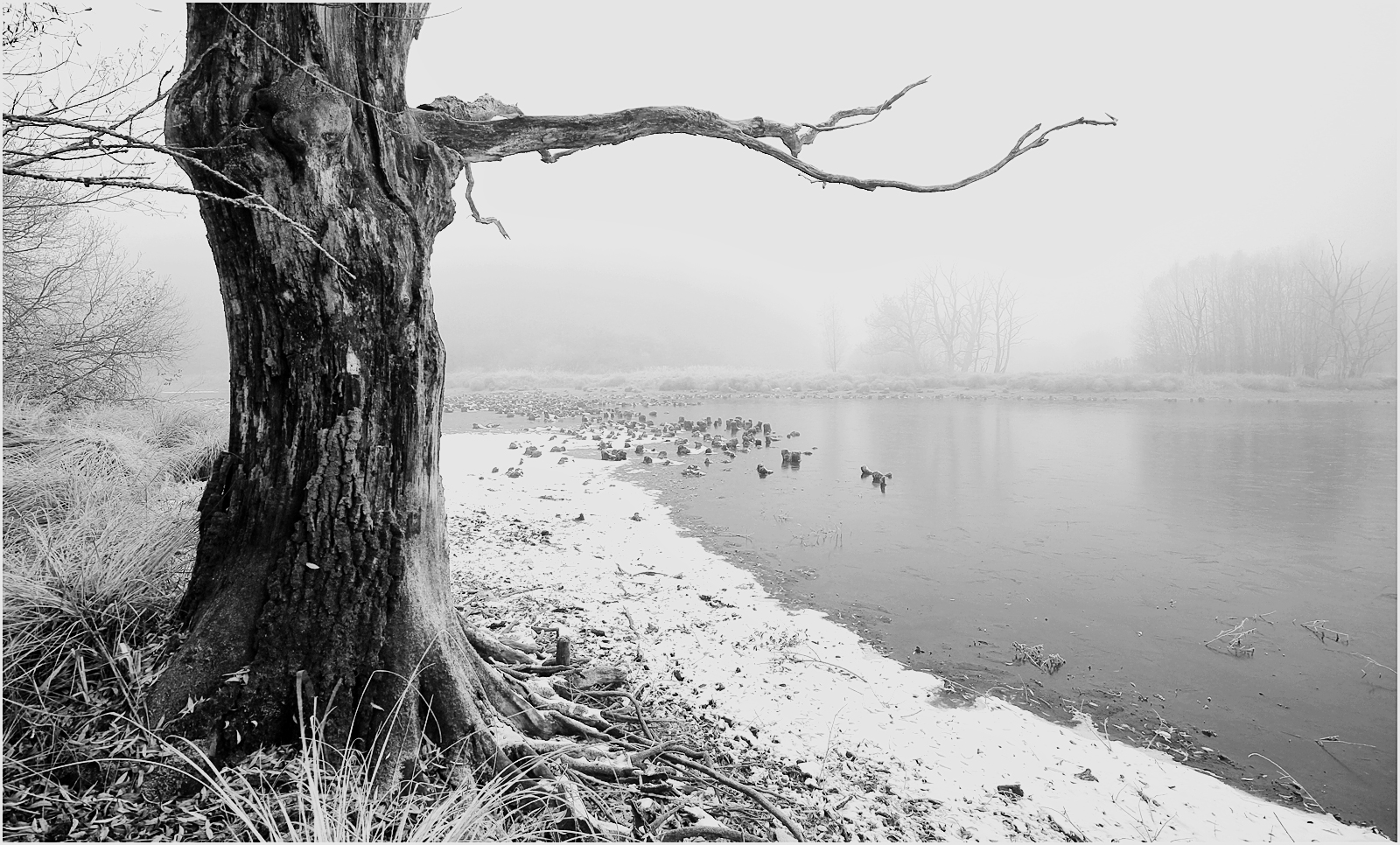 Frostiger Novembermorgen