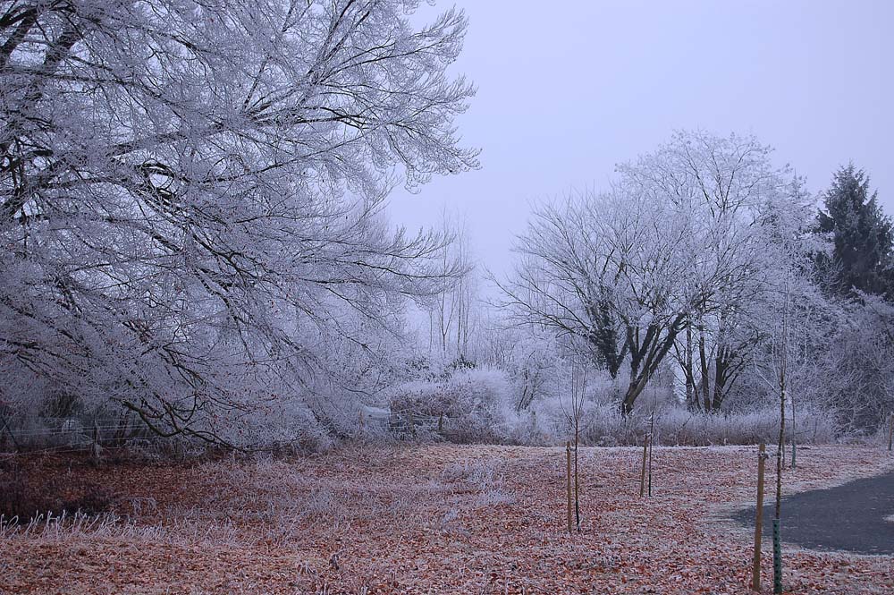 frostiger Park