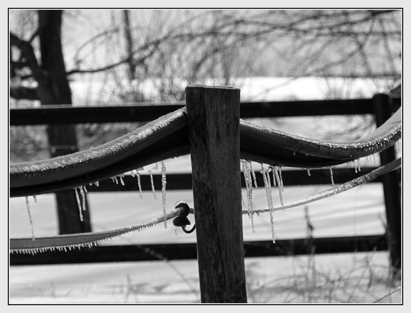 frostiger Rückblick