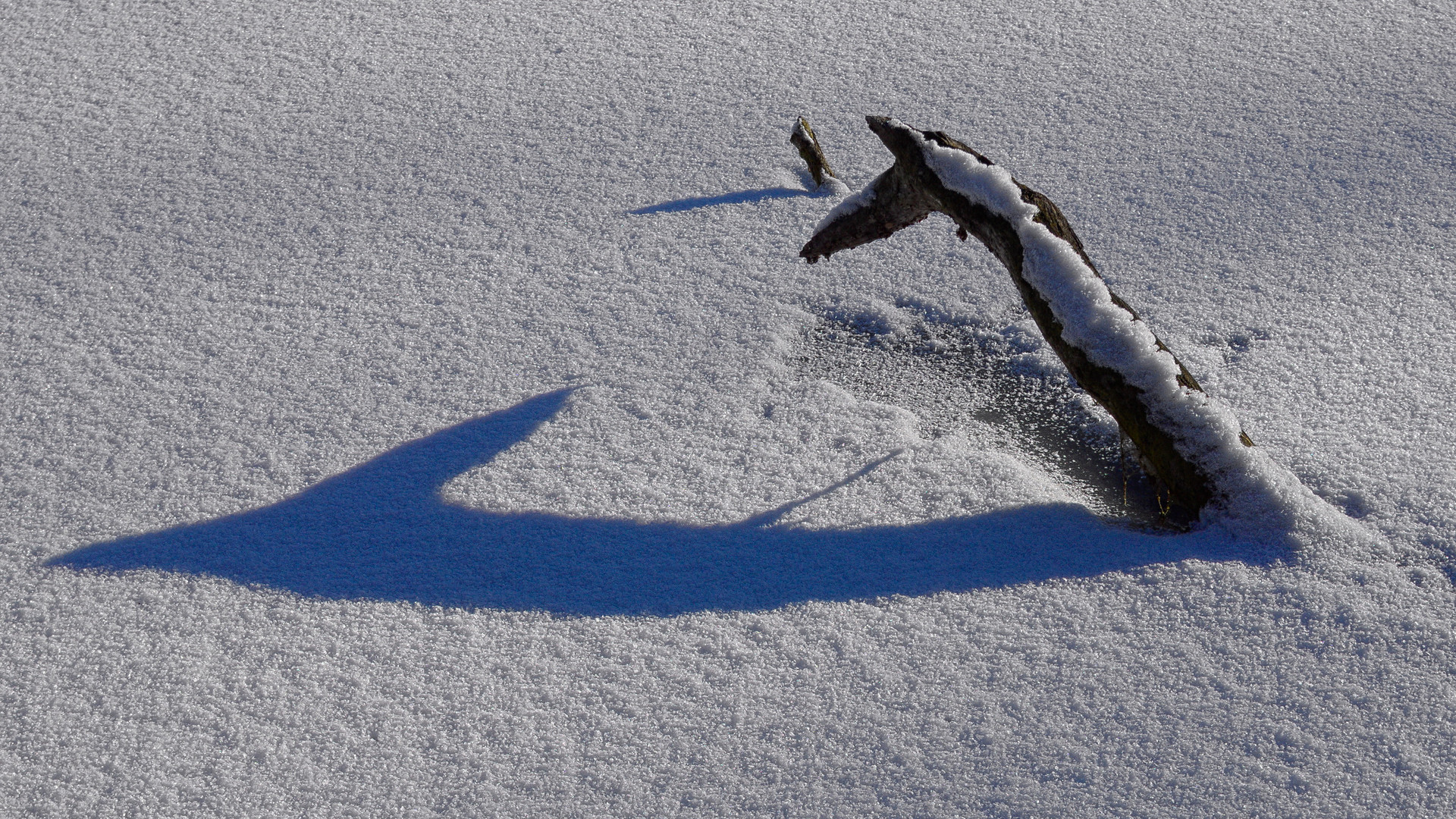 Frostiger Schatten