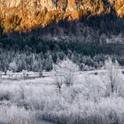 Frostiger Schatten am Sylvensteinsee