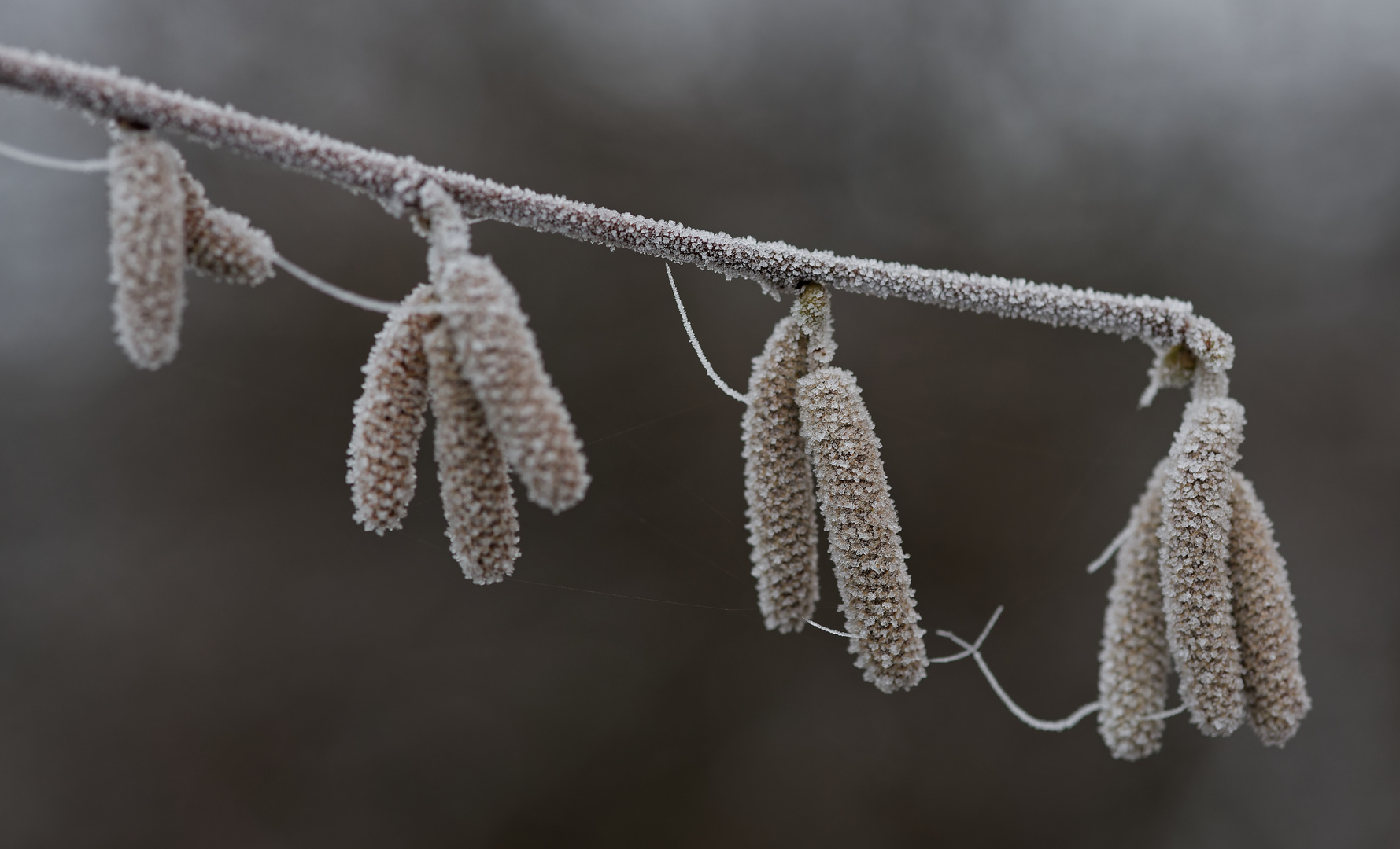 Frostiger Silvestermorgen