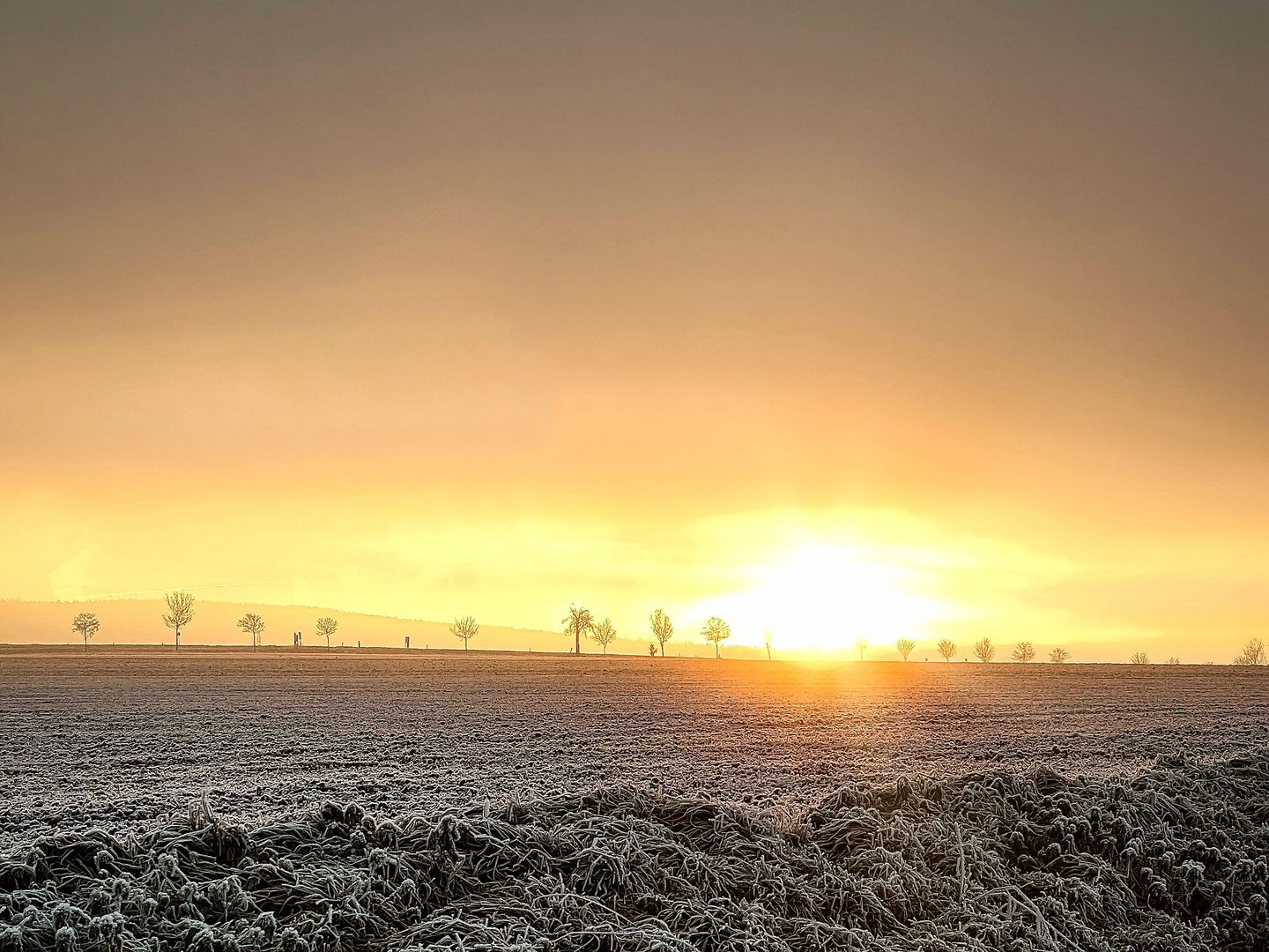 Frostiger Sonnenaufgang 