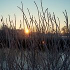 Frostiger Sonnenaufgang