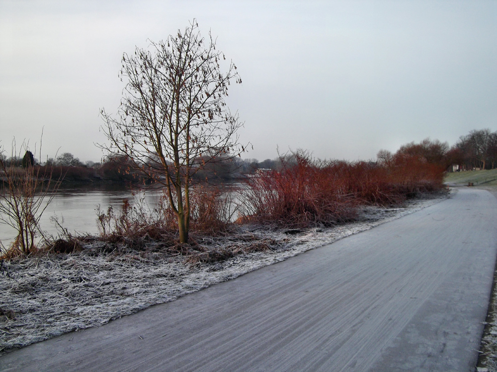 frostiger Sonnenaufgang