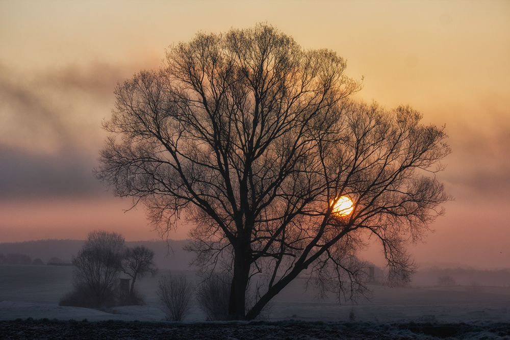 frostiger Sonnenaufgang