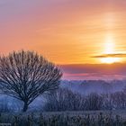 Frostiger Sonnenaufgang 