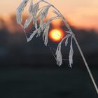 frostiger Sonnenaufgang