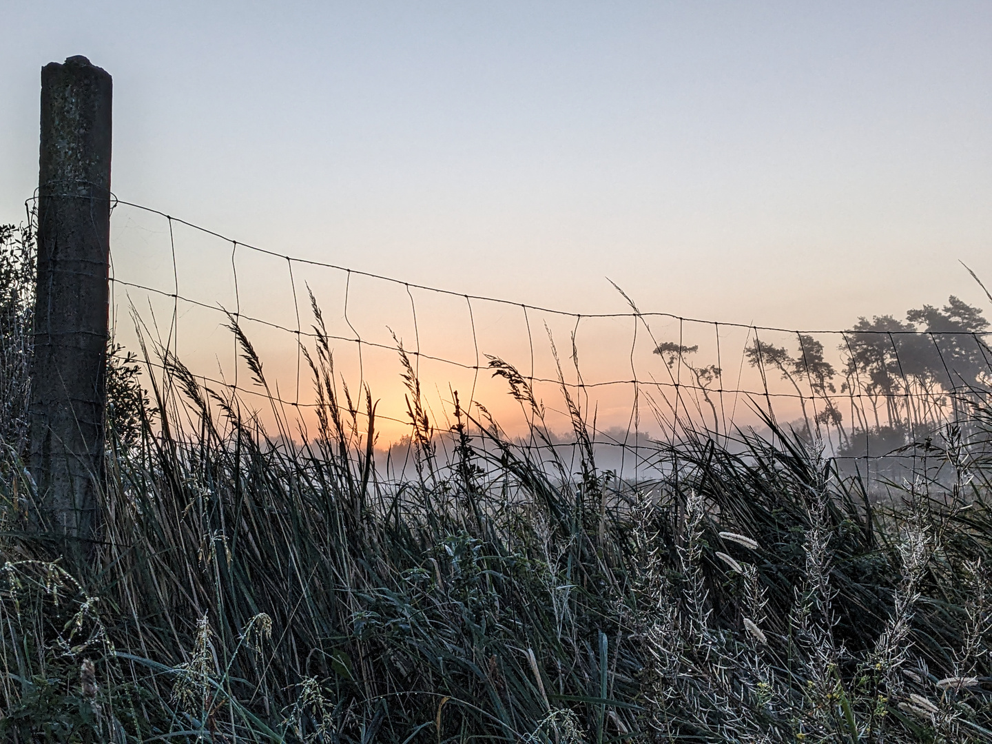 Frostiger Sonnenaufgang