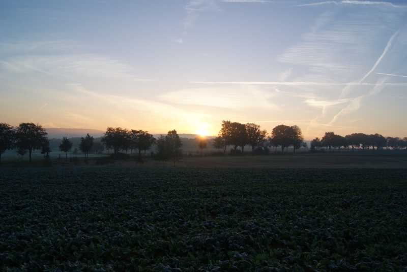 Frostiger Sonnenaufgang