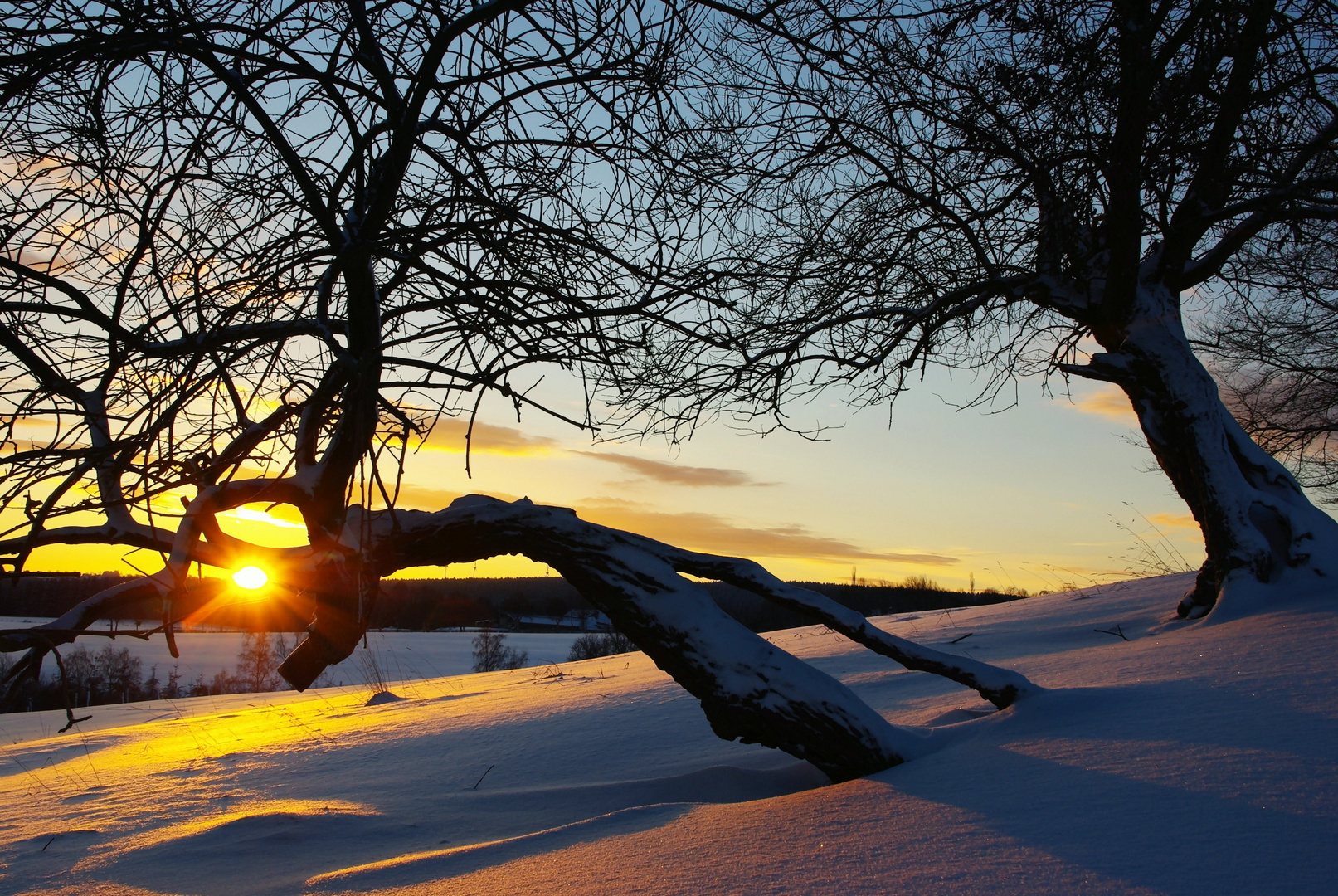 Frostiger Sonnenaufgang