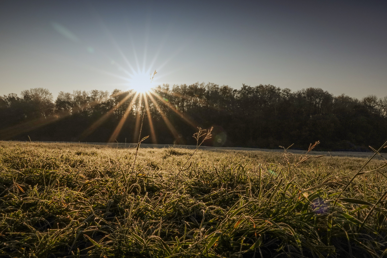 Frostiger Sonnenaufgang