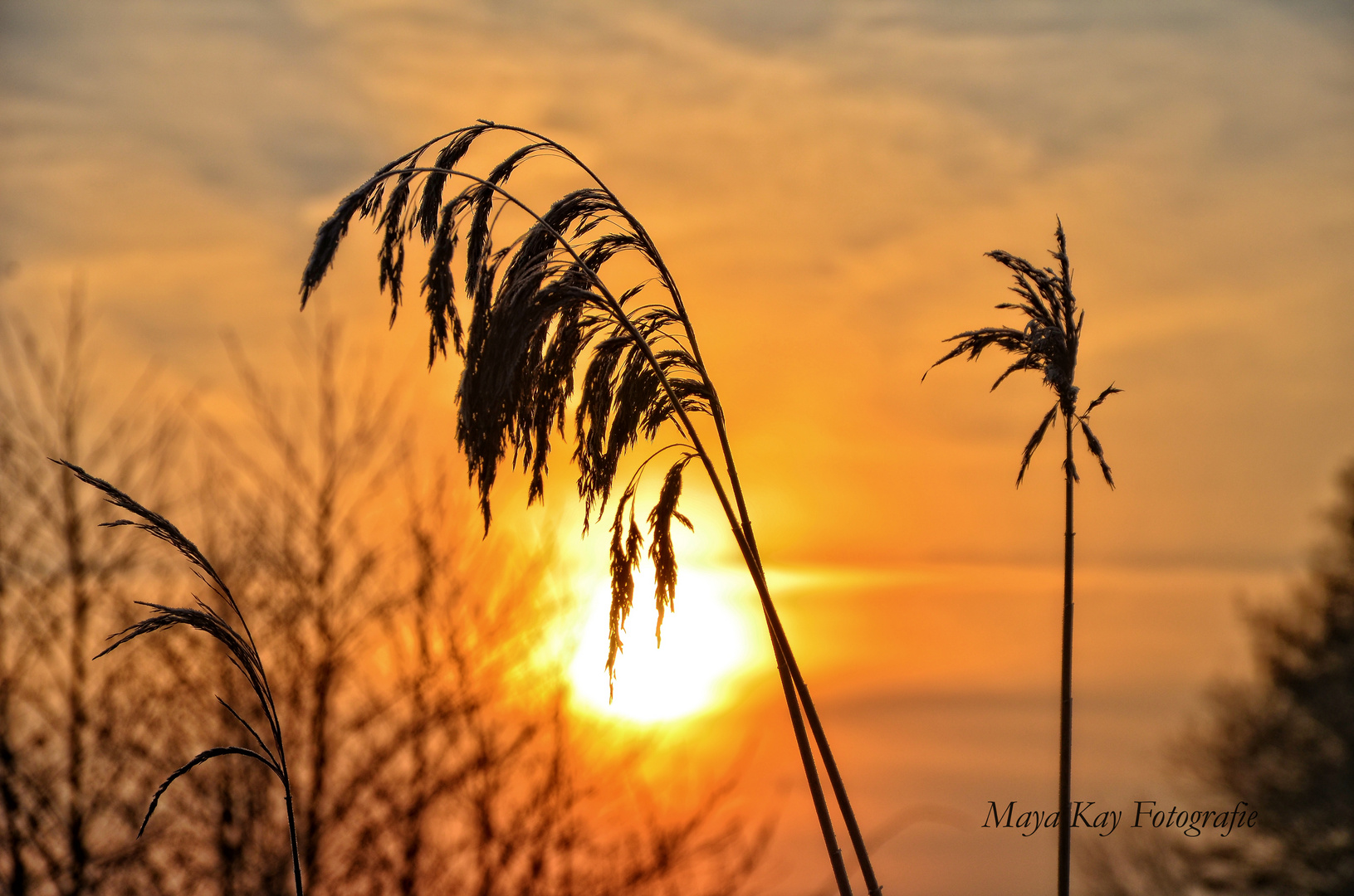 Frostiger Sonnenaufgang