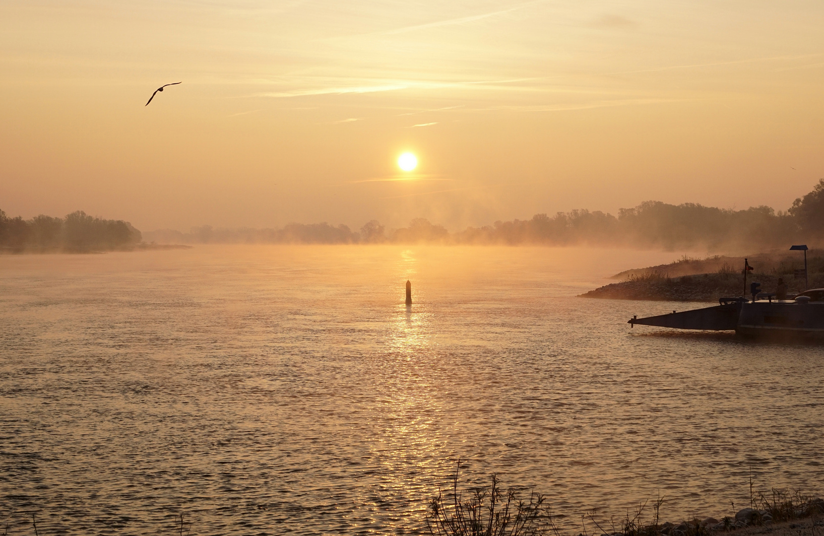 Frostiger Sonnenaufgang an der Elbe