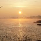 Frostiger Sonnenaufgang an der Elbe