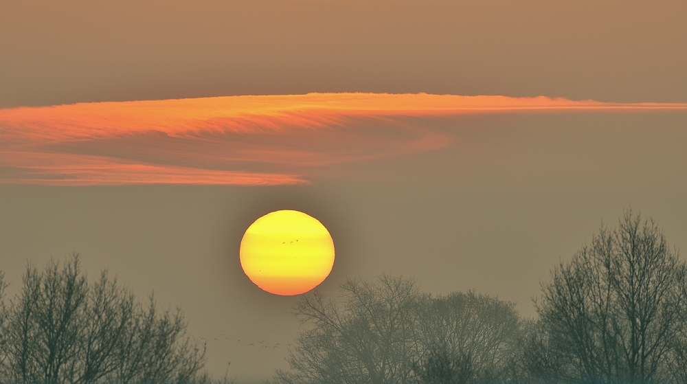 Frostiger Sonnenaufgang an der Elbe