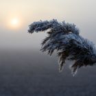 Frostiger Sonnenaufgang