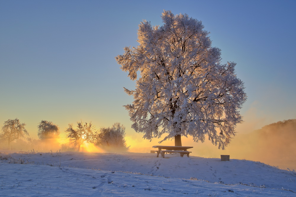 frostiger Sonnenaufgang