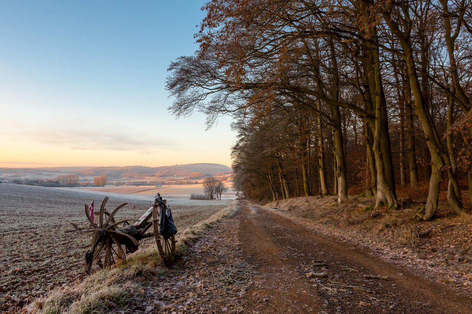 Frostiger Sonnenaufgang