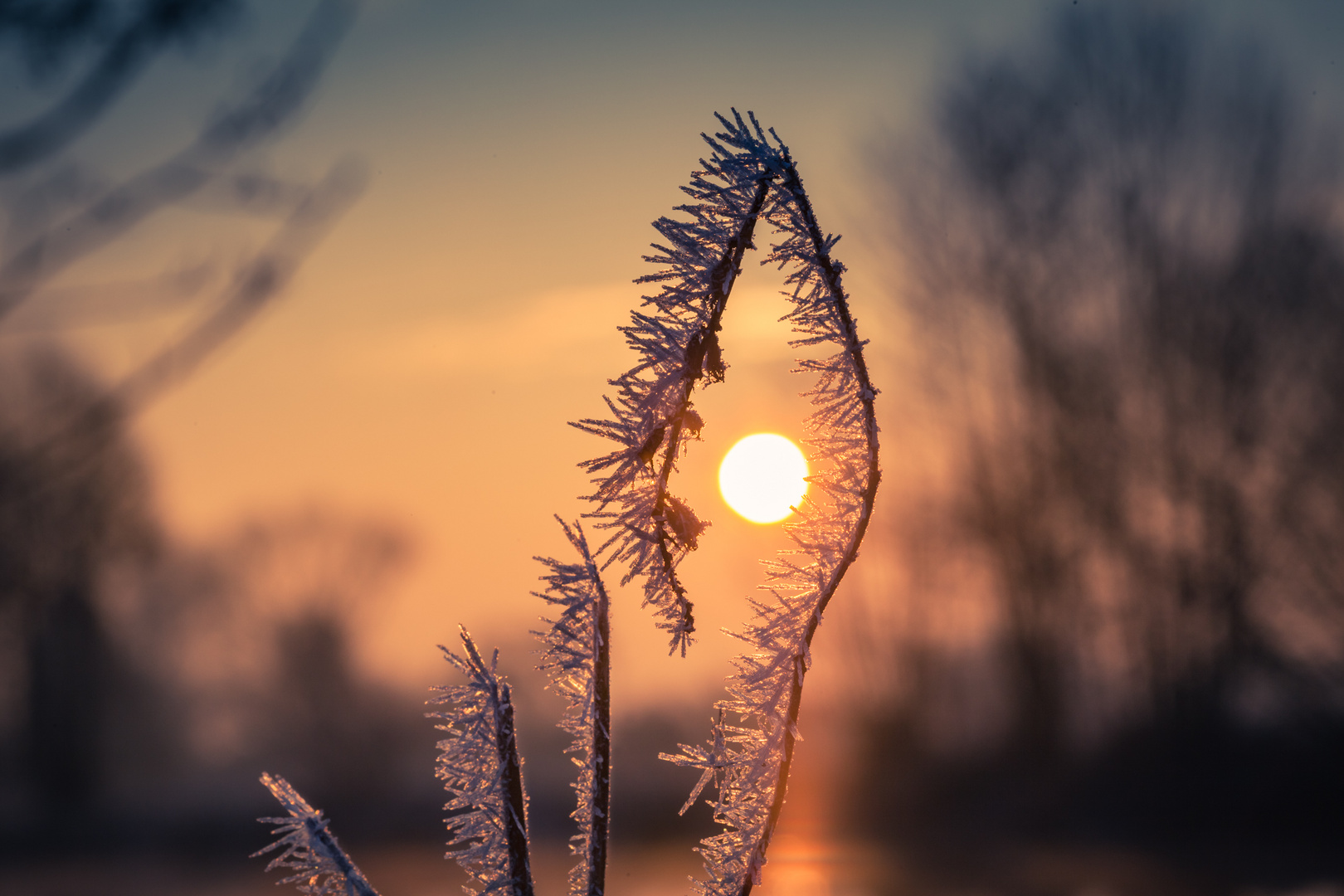 frostiger Sonnenaufgang