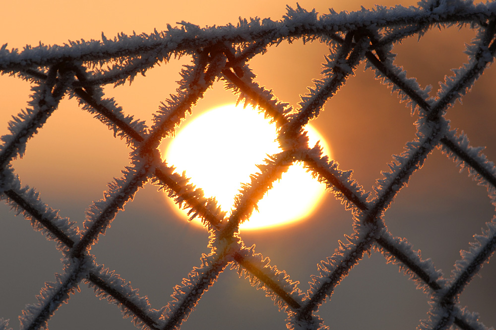 Frostiger Sonnenaufgang