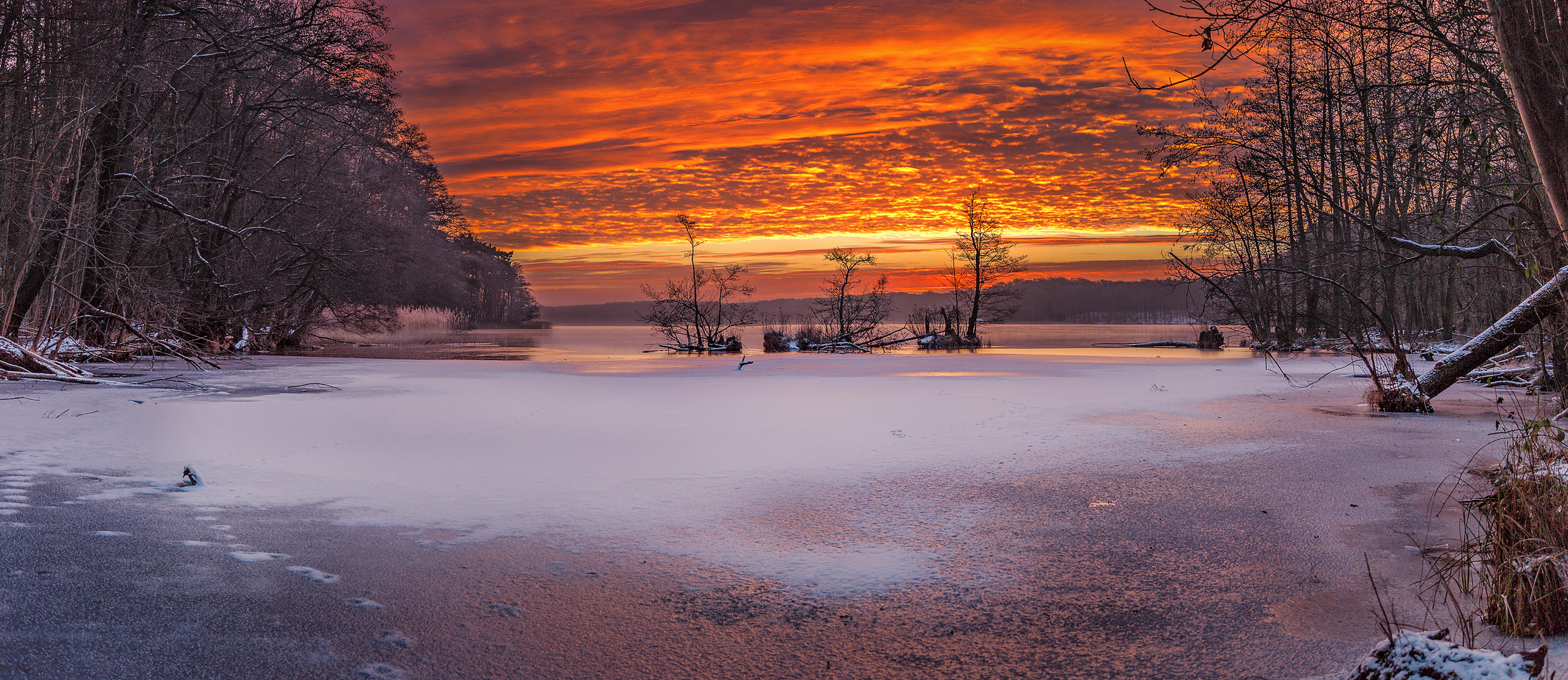 Frostiger Sonnenaufgang - Panorama 1