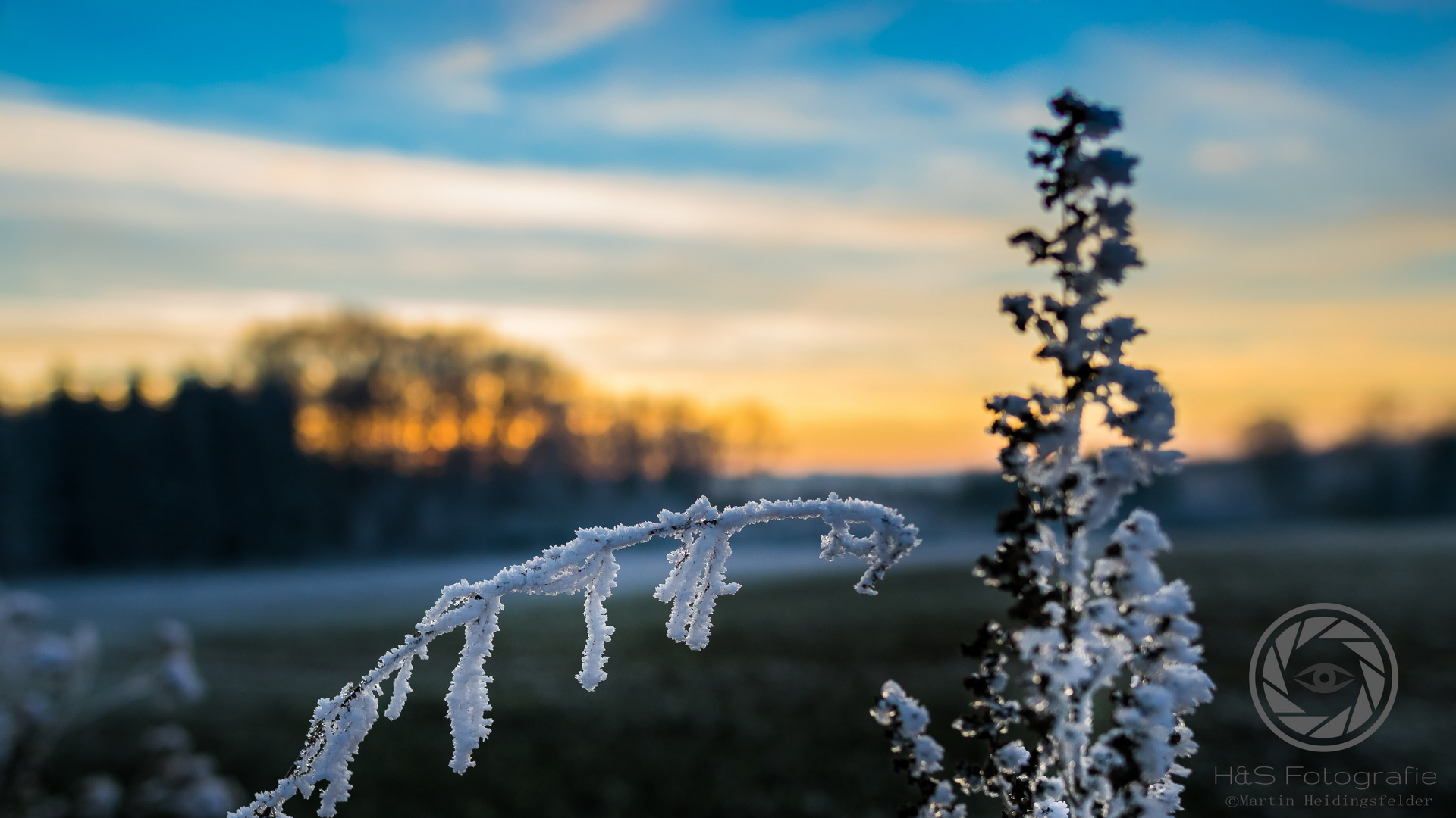 Frostiger Sonnenuntergang