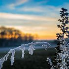 Frostiger Sonnenuntergang