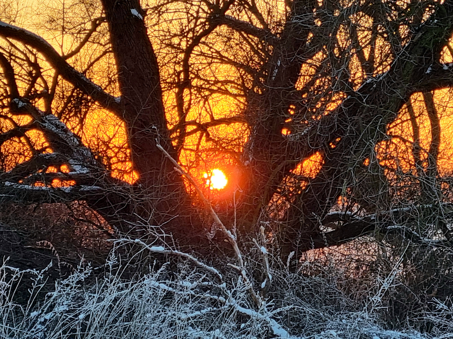 Frostiger Sonnenuntergang