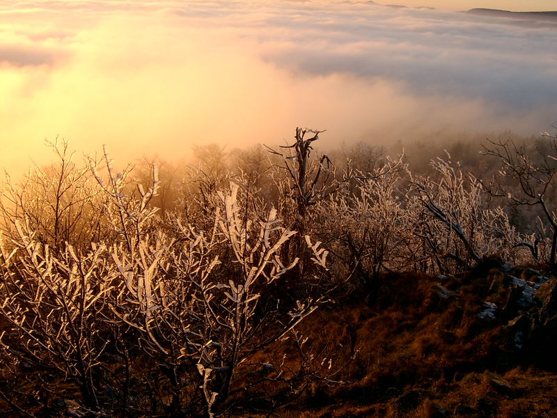 Frostiger Sonnenuntergang