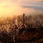 Frostiger Sonnenuntergang