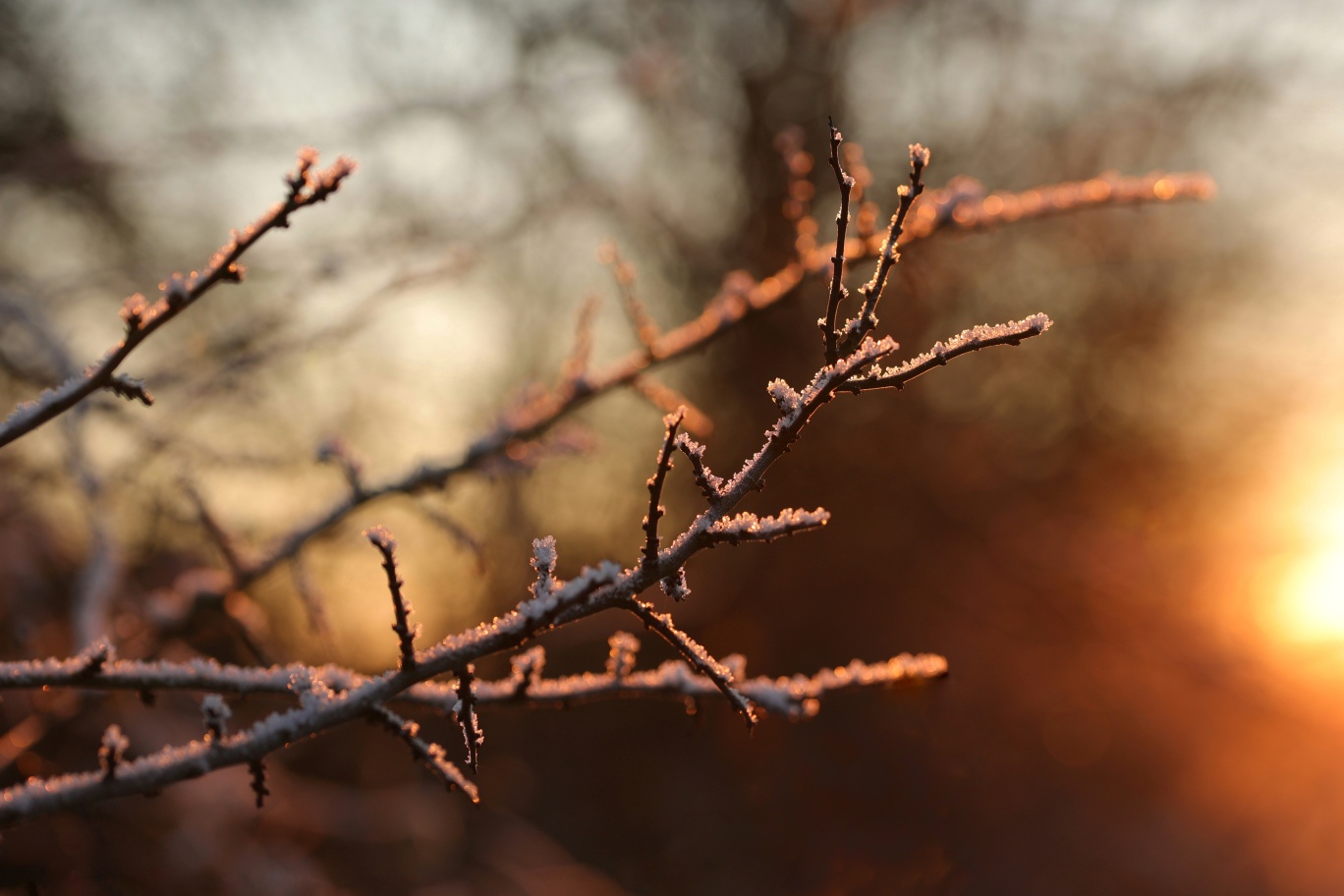 Frostiger Sonnenuntergang