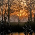 frostiger Sonnenuntergang am Teichrand