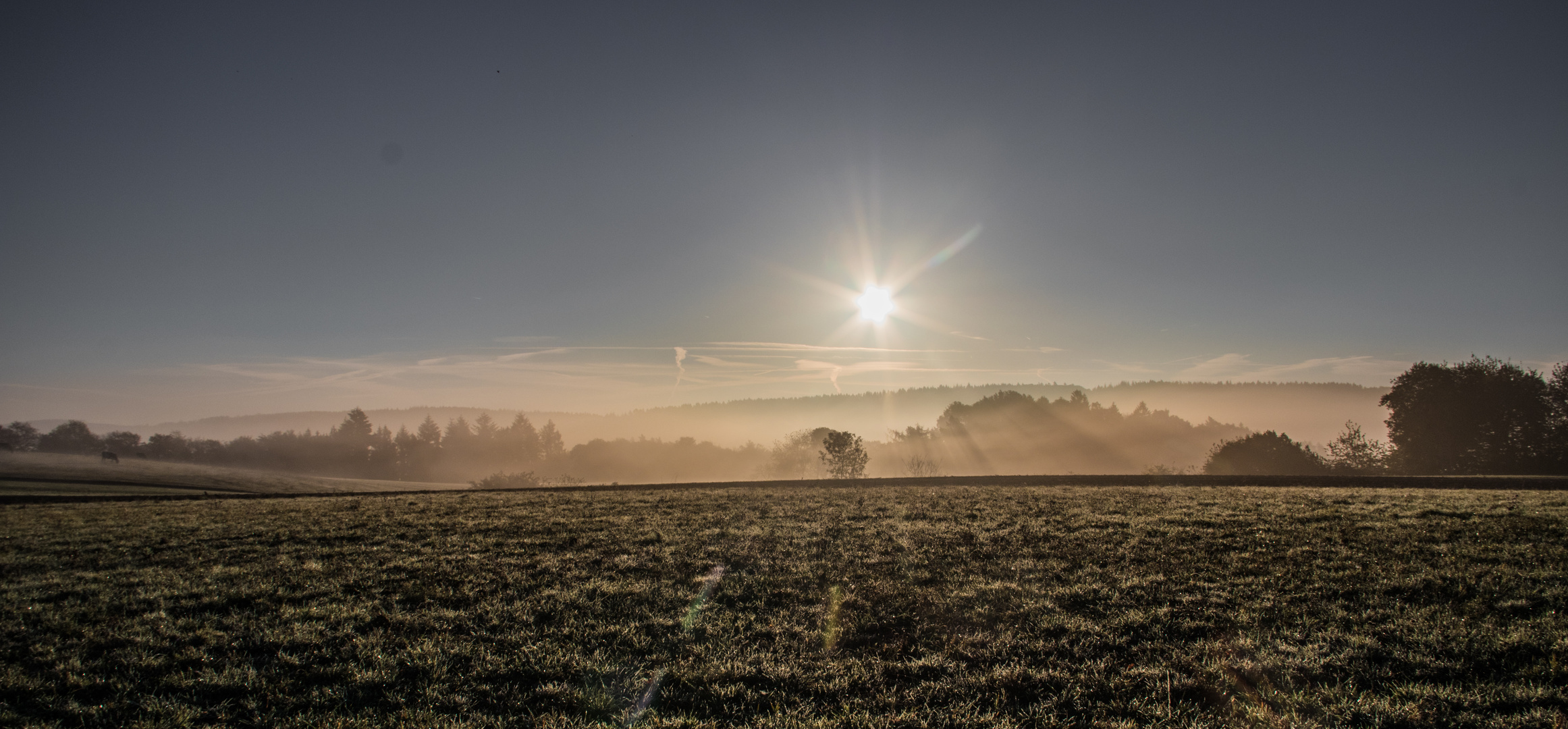 frostiger Sonntag Morgen