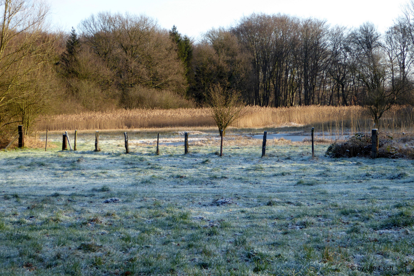 Frostiger Sonntagmorgen