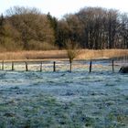 Frostiger Sonntagmorgen