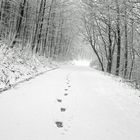 frostiger Spaziergang