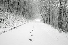 frostiger Spaziergang