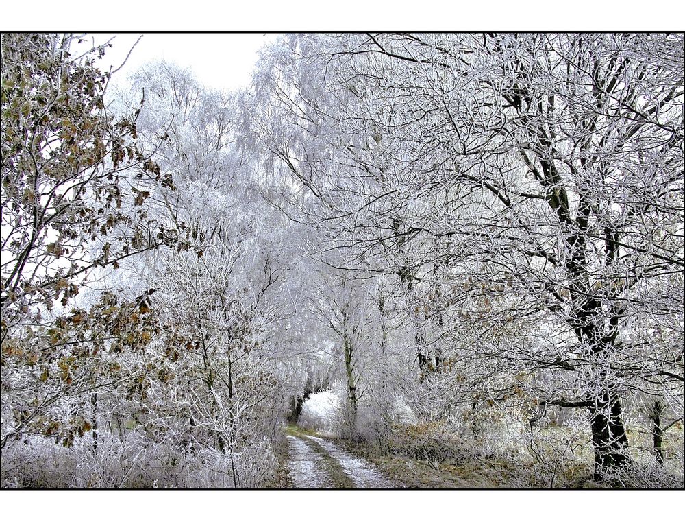 frostiger Spaziergang