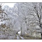 frostiger Spaziergang