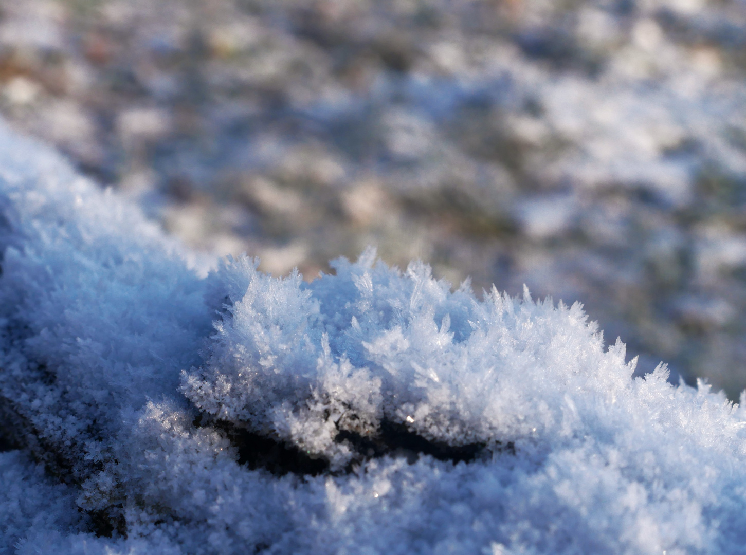 Frostiger Spaziergang im Januar 2024 - Eisdetails (1)