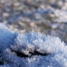 Frostiger Spaziergang im Januar 2024 - Eisdetails (1)