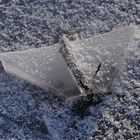 Frostiger Spaziergang im Januar 2024 - Eisdetails (10)