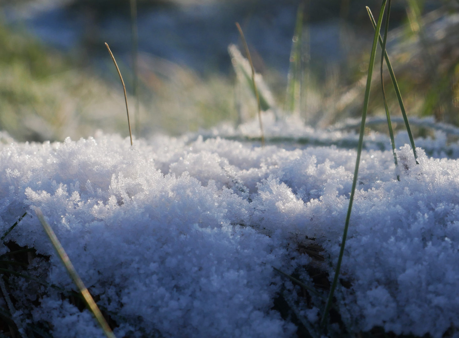 Frostiger Spaziergang im Januar 2024 - Eisdetails (13)