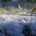 Frostiger Spaziergang im Januar 2024 - Eisdetails (13)