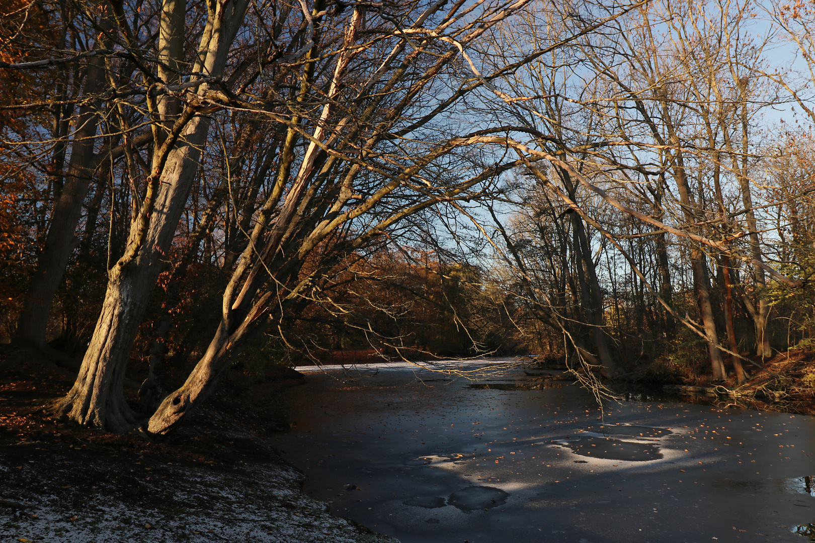 Frostiger Tag im Park