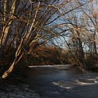 Frostiger Tag im Park