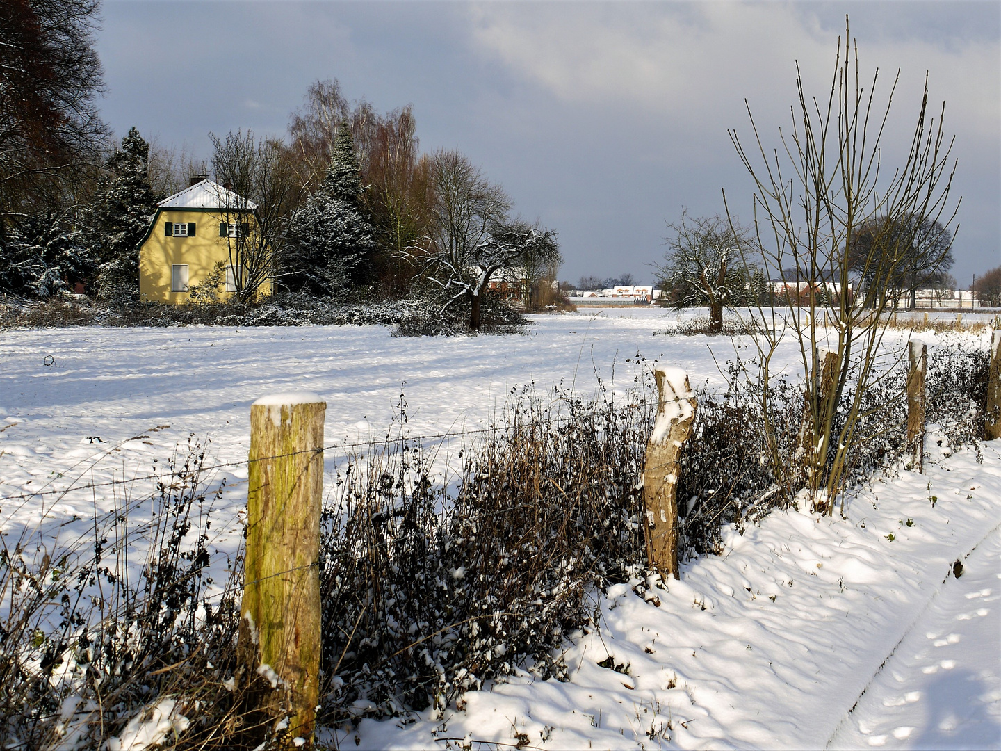 Frostiger Tag vor der Haustür